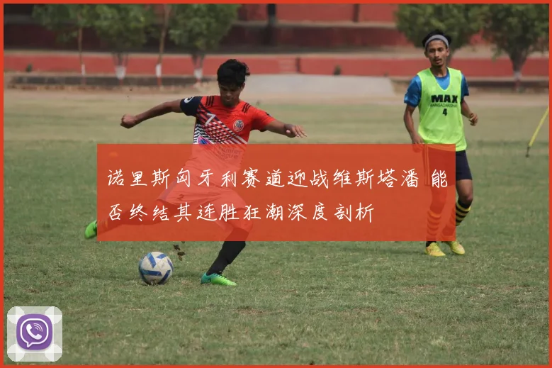 诺里斯匈牙利赛道迎战维斯塔潘 能否终结其连胜狂潮深度剖析